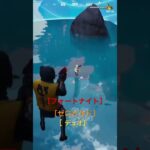 フォートナイト⭐️ゼロビルド⭐️デュオ