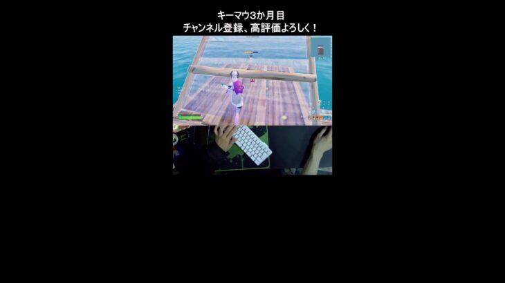 【フォートナイト】参加型でデュオリロード