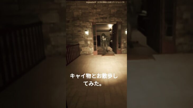 キャイ物とお散歩してみた。