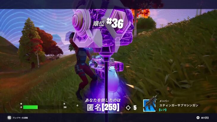 フォートナイト　ゼロビルド　ソロ