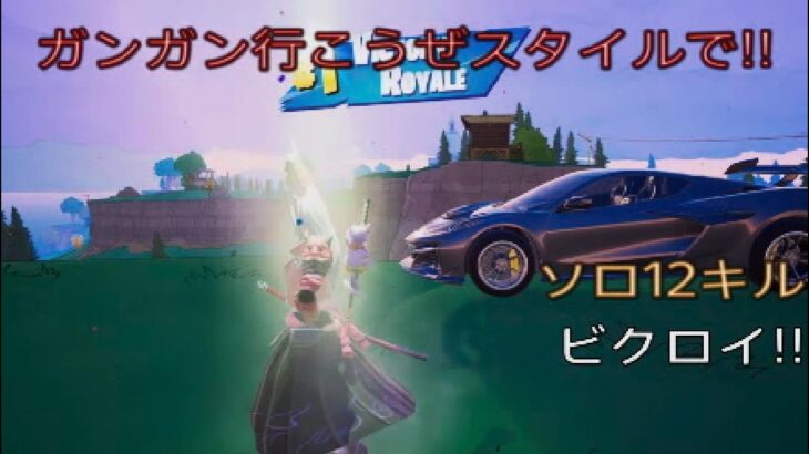 ガンガン行こうぜスタイルで‼︎ソロ12キルビクロイ‼︎［フォートナイト/ゼロビルド］#441