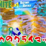 【初心者連れビクロイ！】トータル240分戦ったｗｗｗ【バトロワデュオ】