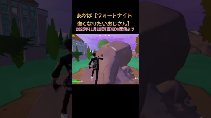 テンポよくランク7試合できました！ ザ・シンプソンズ　#フォートナイト #fortnite #40代 #おじさん #ランクマッチ #ソロ