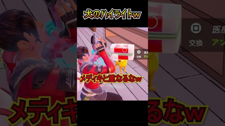 ペット（犬）のハイライトが面白過ぎたｗｗ【フォートナイト/Fortnite】