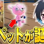 【これは買い】新たなペットが大量に追加！ガチ可愛い過ぎるｗｗ【フォートナイト/Fortnite】