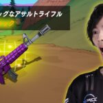 アプデで新武器『ビッグなアサルトライフル』がやってきた！【フォートナイト/Fortnite】
