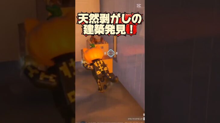 【LEGO】天然の剥がし建築見つかる‼️  #レゴフォートナイト #legofortnite