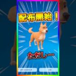 新バディ無料配布開始‼️新バディの『ボーンジー』の無料配布が始まった‼️【フォートナイト/fortnite】