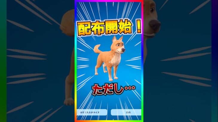 新バディ無料配布開始‼️新バディの『ボーンジー』の無料配布が始まった‼️【フォートナイト/fortnite】