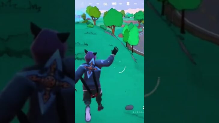 今シーズンソロで初ビクロイ‼️ #short #フォートナイト