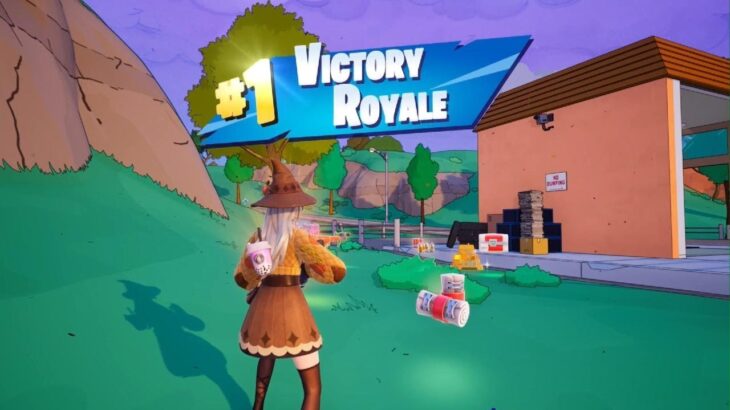 フォートナイト ゼロビルド ソロ ビクロイ