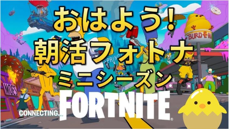 【朝活】フォートナイト（非参加型/野良スク）